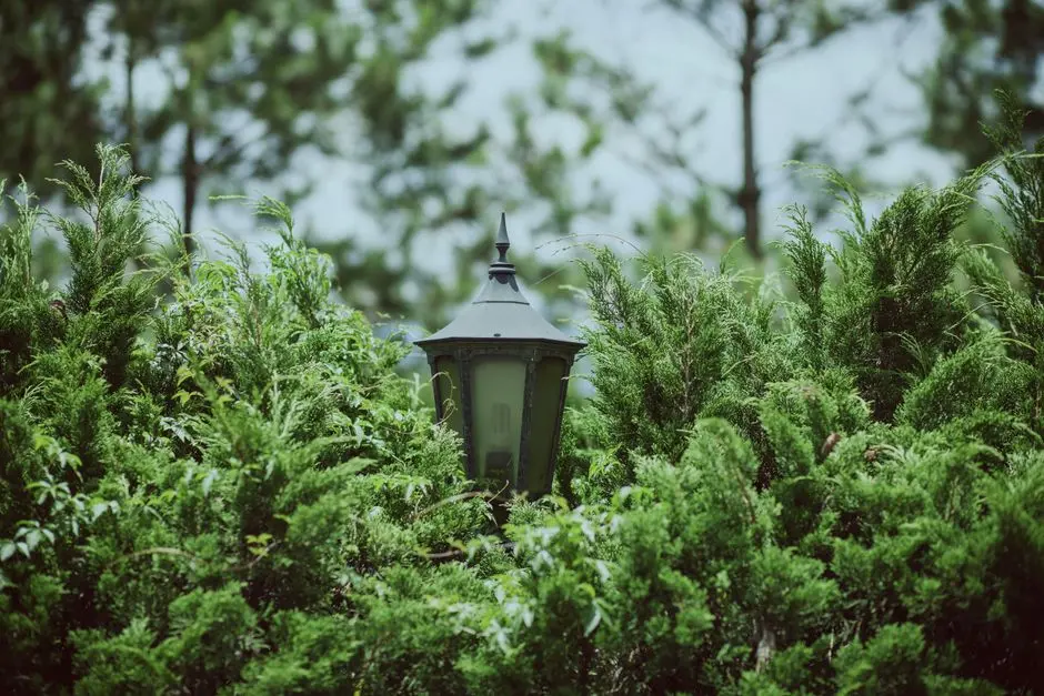 Greens & Outdoors at LODHA CASA PREMIER, Manpada, Thane