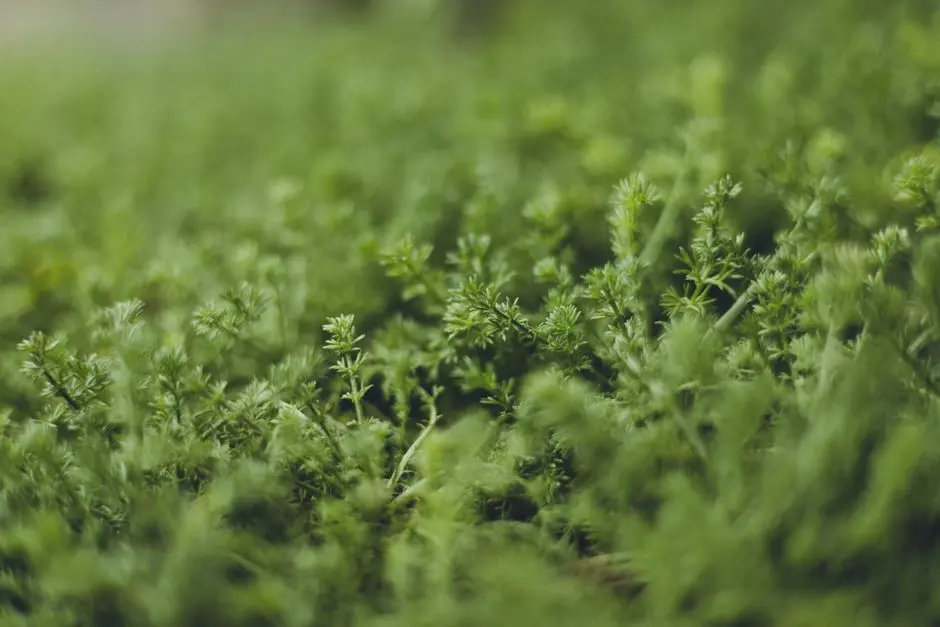 Greens & Outdoors at LODHA INDUSTRIAL PARK, ORAGADAM, Chennai