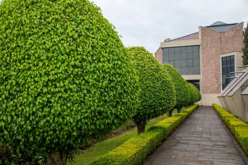 Greens & Outdoors at LODHA BELLAGIO, Powai, Mumbai