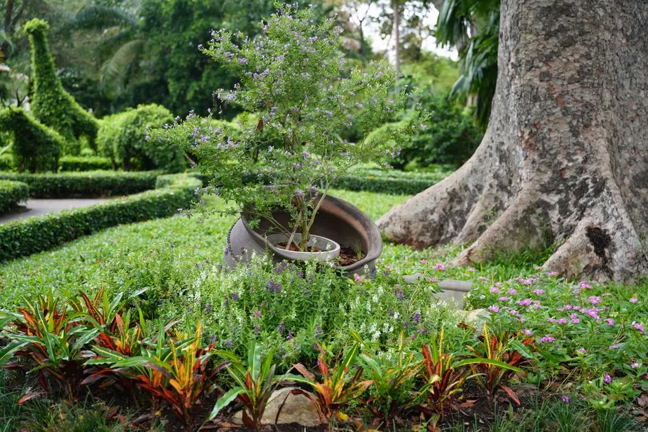 Greens & Outdoors at LODHA VILLA ROYALE GOLD, Mankoli, Thane